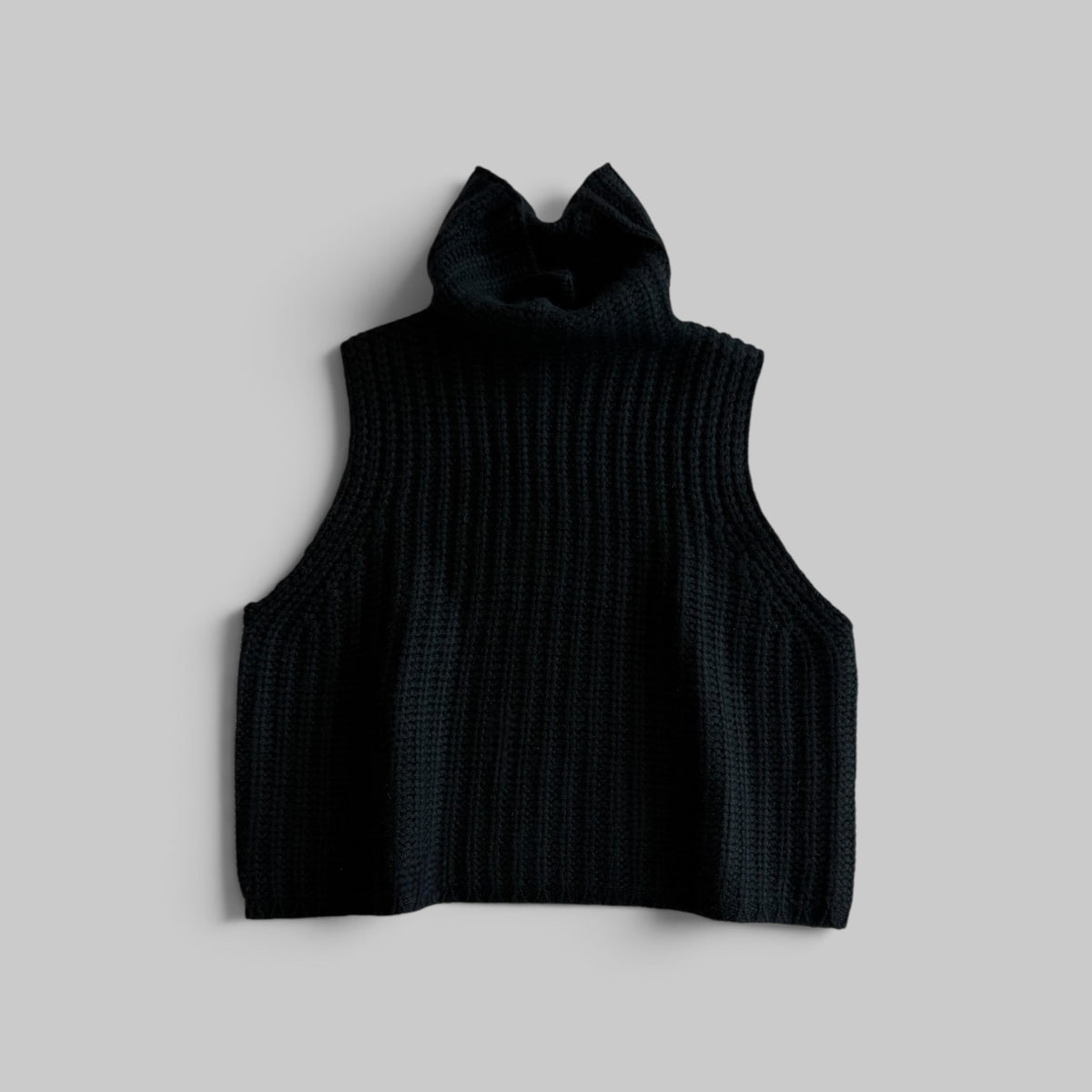 Saige Cropped Turtleneck by Sablyn in Black