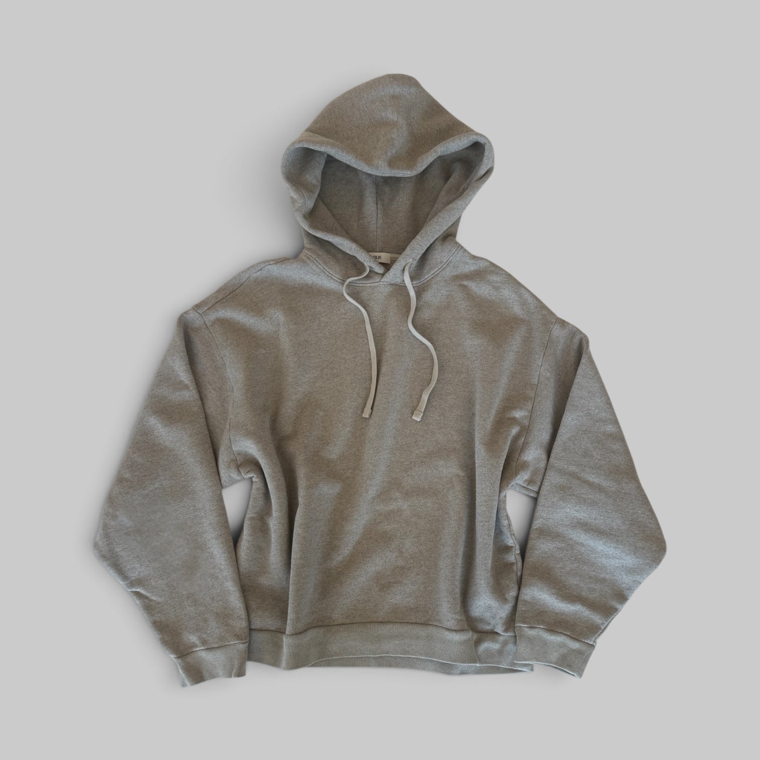Salford Hoodie by AGOLDE in Digital